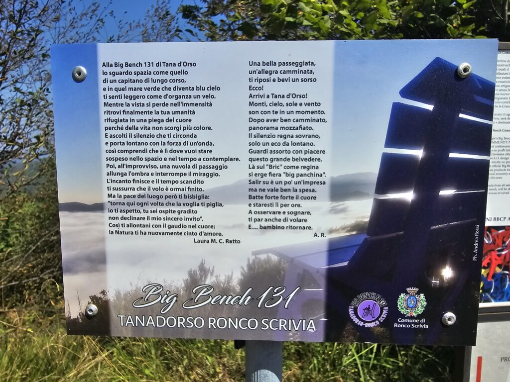 An image of an information board for Big Bench number 131