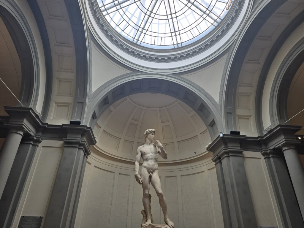 Image of Michelangelo's David